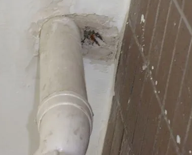 故城漏水检测哪家好